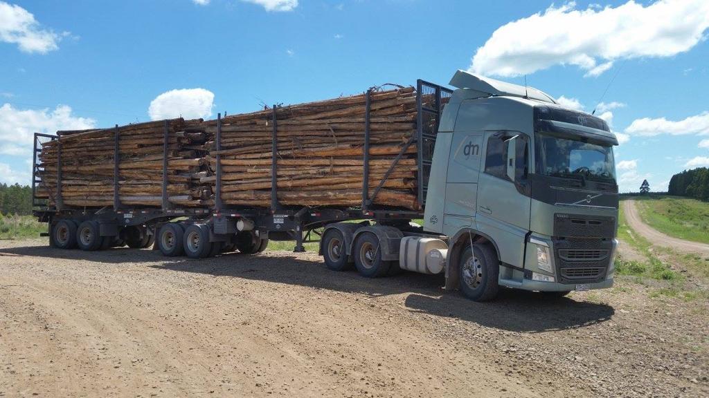 Camión de transporte en ruta
