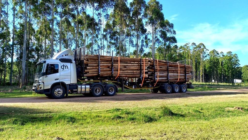 Transporte y logística